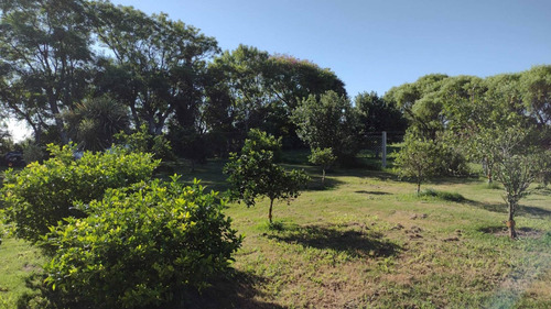 Chacra En Uruguay 3 Hct Soriano Casa Galpon Frutales