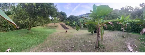 Finca San Jerónimo Sector Los Tamarindos