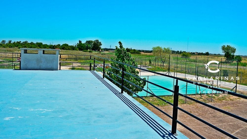 Imagen 10 de 12 de Departamento En Venta En Casuarinas Premium