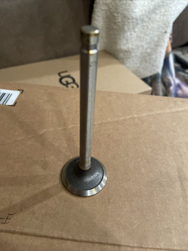 Valvula Admision Ford 200 250 Fairmont Zephyr Maverick 65-83