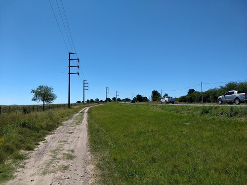 Venta O Alquiler Terrenos Hectareas