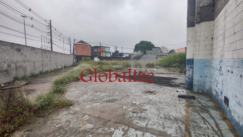 Imagem 16 de 22 de Terreno - Te00010 - 70765109