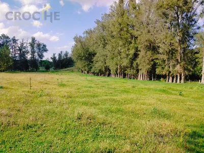 Terreno en venta