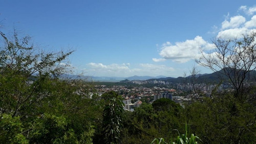 Imagem 6 de 9 de Terreno Em Córrego Grande, Florianópolis/sc De 507m² À Venda Por R$ 370.000,00 - Te412346-s