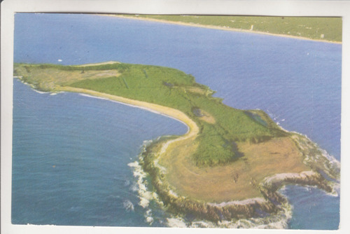 Punta Del Este  Isla Gorriti Postal Color Con Vista Aerea 