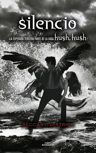 Silencio (hush Hush 3)