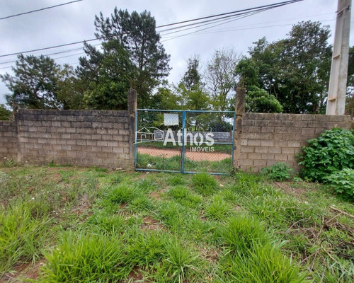 Imagem 7 de 9 de Chácara Com Área De 5.400 M2 - Excelente Localização, À 500m Da Estrada Vicinal De Vargem Do Salto. Em Ibiúna/sp. - Ch00306 - 69892541