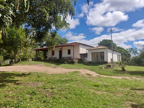 Maravilhosa Fazenda De 583 Ha Em Salinas/mg