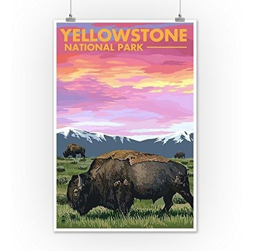 Poster Parque Nacional De Yellowstone, Wyoming, Bison And Su