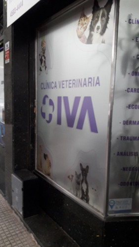 Veterinario A Domicilio Las 24 Horas!