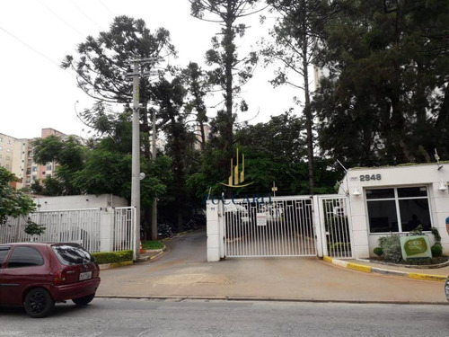 Apartamento À Venda, 50 M² Por R$ 250.000,00 - Jardim Iporanga - Guarulhos/sp - Ap13891