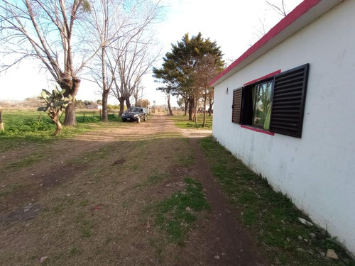 Imagen 9 de 17 de Venta Campo Quinta Chacra 7 Ha Virrey Del Pino