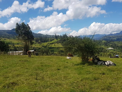 Hermosa Finca Para Agricultura O Ganaderia Baganique Bajo Jenesano, Boyaca. 