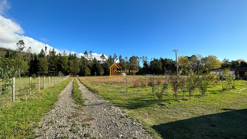 Parcela Hermosa En Sector Faja Maisan. Pitrufquén. Rebajada