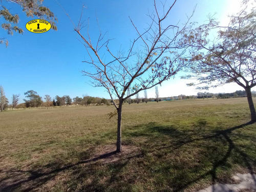 Imagen 2 de 6 de 3208mj- Lote Venta Sobre Golf Fondo Laguna.