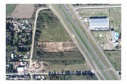 Imagen 7 de 11 de Terreno Fraccion En Alquiler Sobre Colectora Ruta Nacional 9 - Zárate, G.b.a. Zona Norte