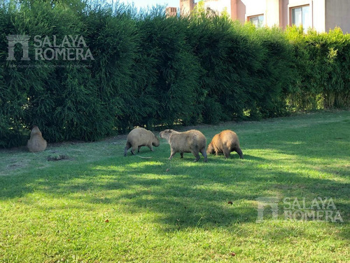 Imagen 10 de 16 de Terreno - Los Castores