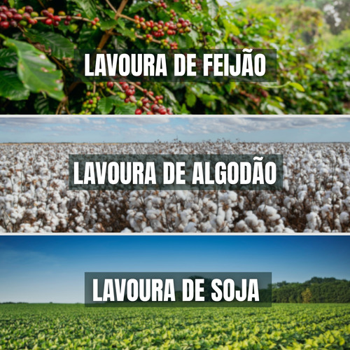 Bacillus Germinação, Imunidade E Solo Saudável 1l