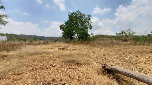Imagen 3 de 14 de En Venta Terreno En Valencia Guataparo Country Club De 900m2
