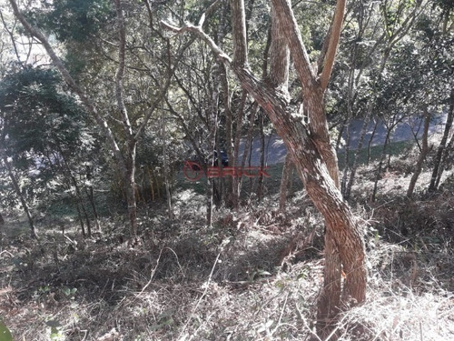Imagem 10 de 24 de Terreno Com 340 M² Em Condomínio Em Vargem Grande. - Te00279 - 34416617