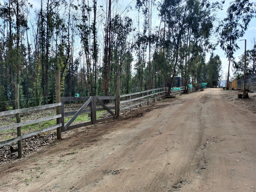 Imagen 7 de 9 de Maitencillo, Sitio En Condominio Con Excelente Plusvalía