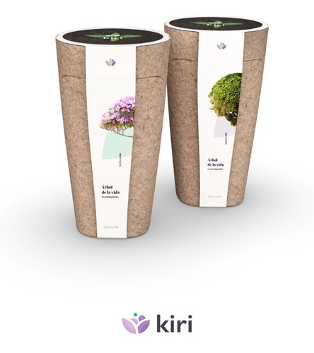 Urna Biodegradable Kiri - Arbol De La Vida - Urna De Cenizas