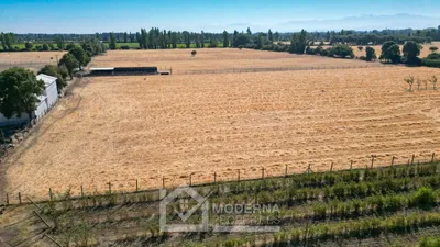 Agrícola en venta