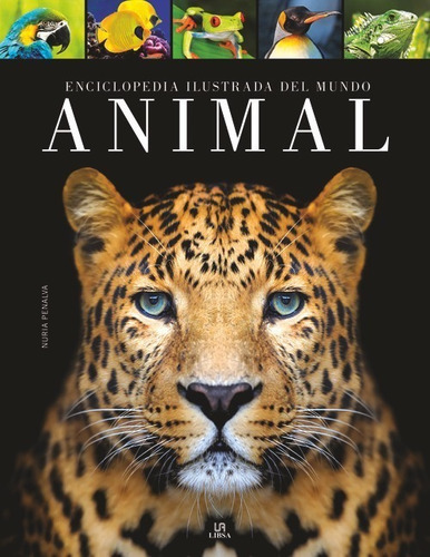 Libro Enciclopedia Ilustrada Del Mundo Animal - Penalva Come