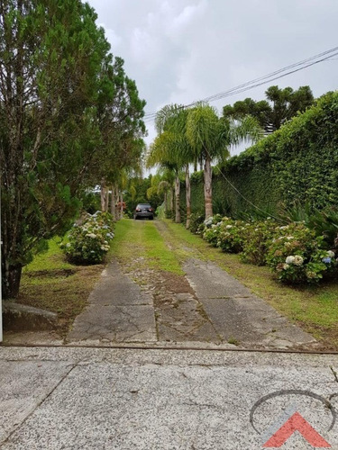 Imagem 10 de 16 de Chácara Em Pinhais - 1351 - 67807474