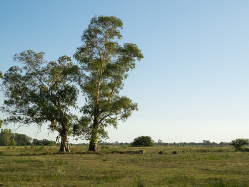 Imagen 8 de 10 de La Eugenia!! Lotes De 600 Mts².