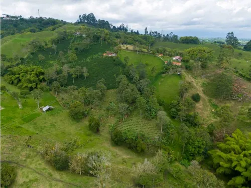 En Venta Finca Cafetera Certificada En Filandia Quindio