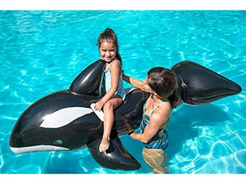 H2ogo Jumbo Ballena Jinete Inflable Flotador De Piscina