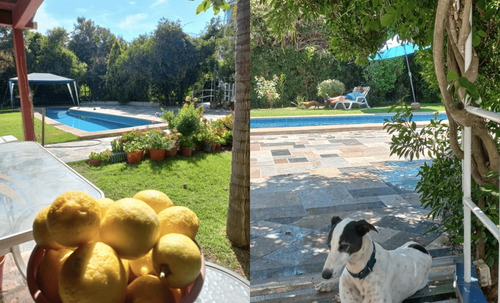 Casa De Arquitectura Única Y Preciosos Jardines Y Entorno