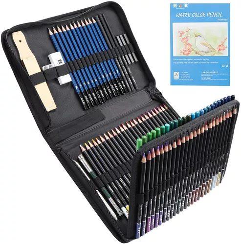 Estuche de lápices de colores para dibujo profesional, Set de 96 piezas Set  de Dibujo Artista Kit para libros de colorear o útiles escolares para  Artistas, Estudiantes, Niños y Adultos : 