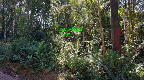 Imagem 5 de 19 de Juquitiba/terreno Com Mata E Nascente. - 05000 - 68089597