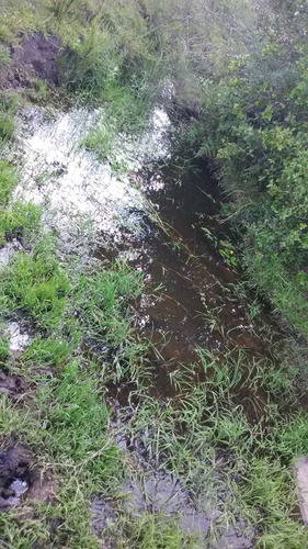 72 Hectáreas En Cuchilla Juan Gomez