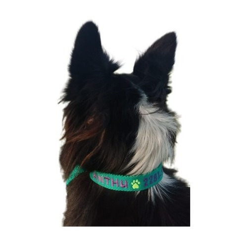 Collar Bordado Personalizado En 3 Cm De Ancho Pet Id