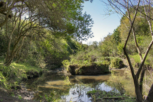 Imagen 2 de 13 de Chacras En Venta En Lavalleja, Aguas Blancas, Minas (ref: Atm-6846)