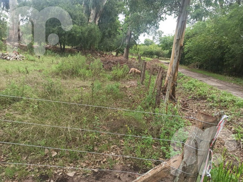 Imagen 8 de 12 de Venta Terreno - Abasto