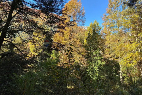 Venta Campo Curarrehue
