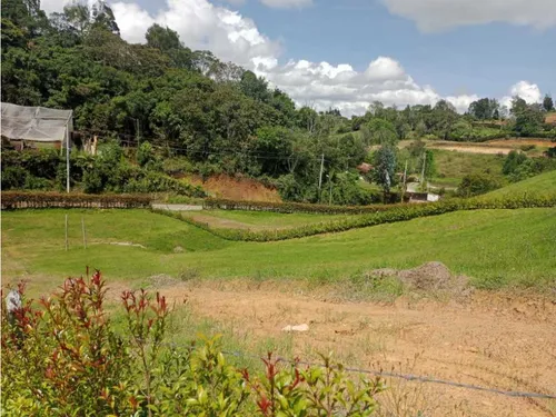 Hermosos Lotes En Venta Con Excelente Ubicación Y Vista - Carmen Víb.