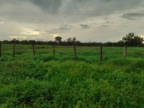 Imagen 2 de 15 de Finca En Venta, San Mateo, Anzoategui