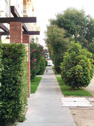 Departamento En Arriendo, Los Plátanos, Macul