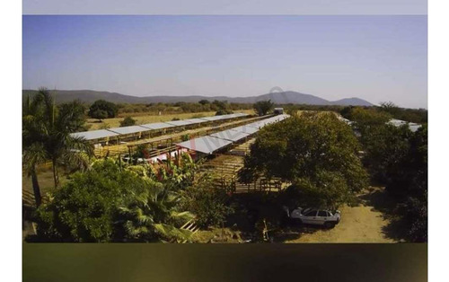 Venta De Increíble Rancho Al Mejor Precio En Tetecala, Morelos,ideal Para Inversionistas Y Ganad...