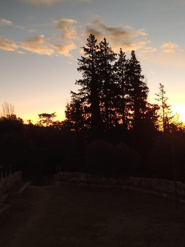 Venta De 20 Hectáreas Sobre Ruta En Tala Cañada...ref 1557