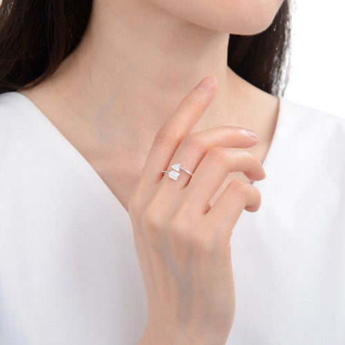 Anillo Ajustable De Plata 925 (lan02)