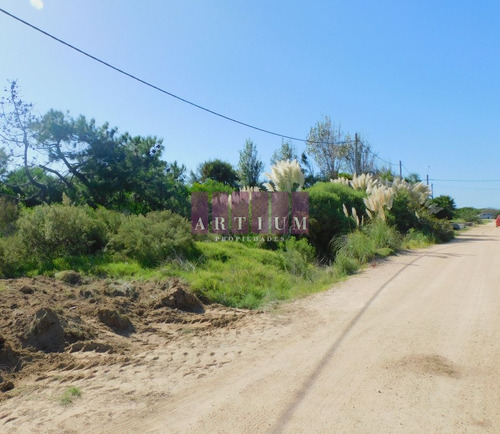 Imagen 5 de 8 de A Pasos Del Mar!