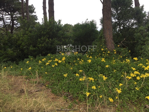 Imagen 11 de 12 de Hermoso Lote Sobre Avenida Principal, En Zona Sur, Villa Gesell