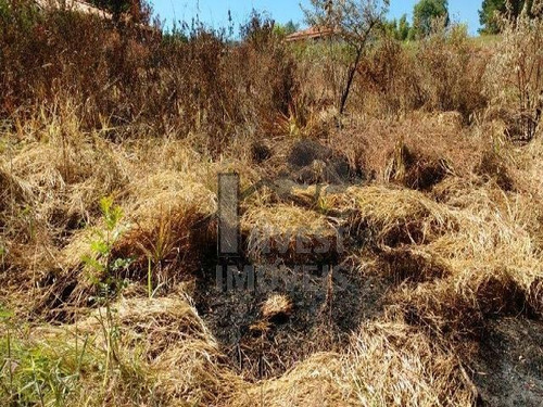Imagem 2 de 5 de Cód 1338 - Lindo Terreno Com 1.668 M² Com Vista E Desmatado. - 1338