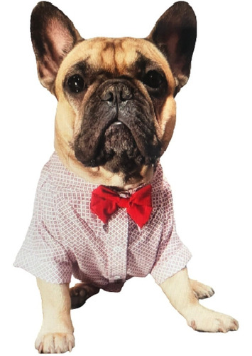 Remeras Camisas Ropa Para Perros Y Gatos Doggys